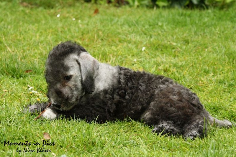 Antares 2009-07-12 (44).JPG